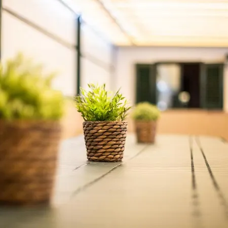 Campanha * Порту