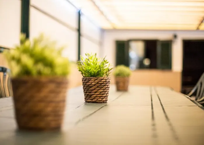 Campanha * بورتو